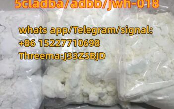 whats app/Telegram:+8615227710698