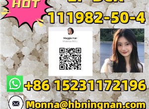 excellent quality Isotanitazene CAS14188-81-9