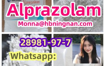 excellent quality Etizolam CAS 40054-69-1