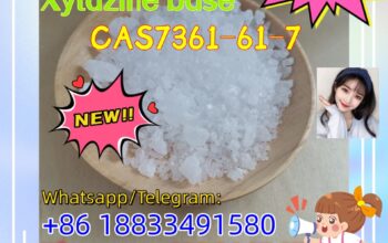 1580CAS 7361-61-7 Xylazine Crystal,WA:+861883349