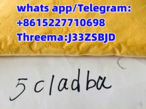 Customer comes first. 