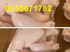 دجاج طازج
