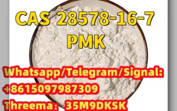 28578-16-7 PMK oil