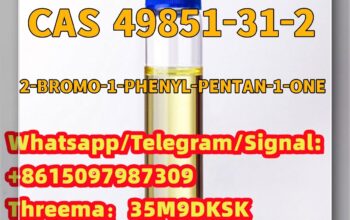 49851-31-2 2-BROMO-1-PHENYL-PENTAN-1-ONE