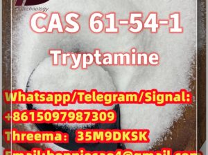 61-54-1 Tryptamine