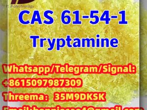 61-54-1 Tryptamine