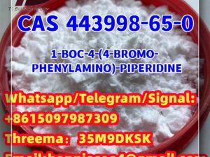 443998-65-0 tert-butyl 4-(4-bromoanilino)piperidin