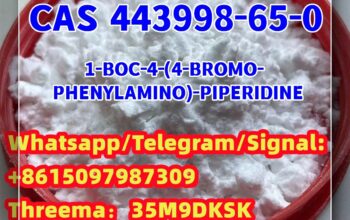 443998-65-0 tert-butyl 4-(4-bromoanilino)piperidin