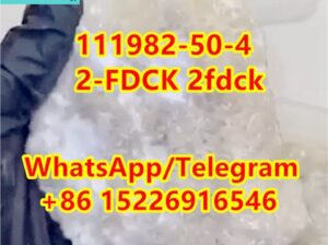 111982-50-4 Supply Raw Material r3