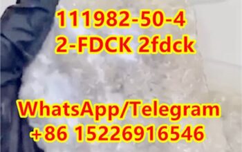 111982-50-4 Supply Raw Material r3