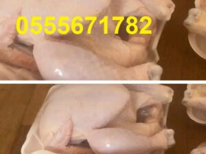 دجاج لاحم طازج ولذيذ