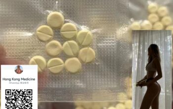 GS-441524 1191237-69-0