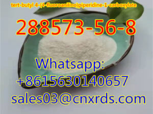 High quality CAS:288573-56-8 tert-butyl 4-(4-fl
