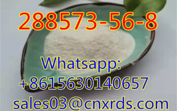 High quality CAS:288573-56-8 tert-butyl 4-(4-fl