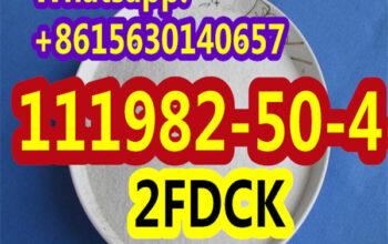 High quality CAS:111982-50-4