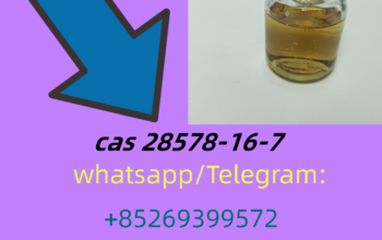 Safe Delivery Bmk Oil Bmk Powder CAS 28578–16–7 Pm