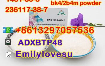 +8613297057536 best BK4 powder 1451-82-7/1451-83-8