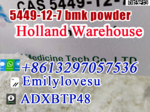 Germany Spot stock high yield bmk powder cas 5449-