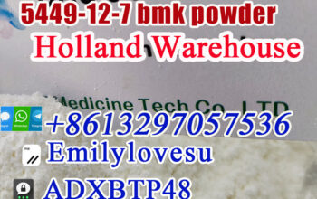 Germany Spot stock high yield bmk powder cas 5449-