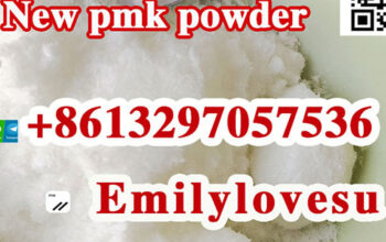 Amsterdam Stock pmk powder cas 28578-16-7 pmk oil