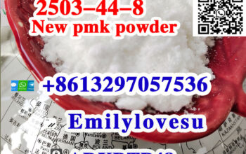 cas 2503-44-8 PMK powder PMK ethyl glycidate powd