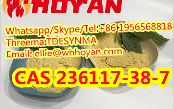 New cas 236117-38-7 2-iodo-1-p-tolylpropan-1-one C