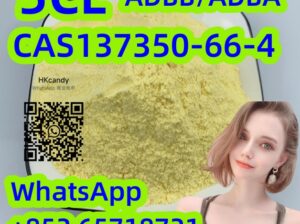 wholesale price 5CL CAS137350-66-4 ADBB/ADBA