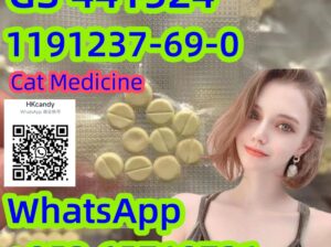 Pet Medicine CAS1191237-69-0 GS 441524