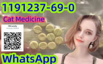 Pet Medicine CAS1191237-69-0 GS 441524