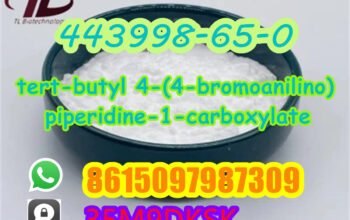 443998-65-0 tert-butyl 4-(4-bromoanilino)piperidin
