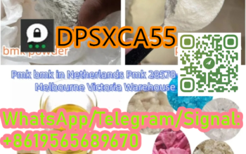 Factory Price Organic Intermediate Carbendazim BMK