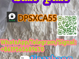 Chinese Factory Direct Sale BMK Powder CAS 5413-05