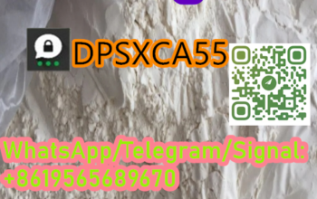 Chinese Factory Direct Sale BMK Powder CAS 5413-05
