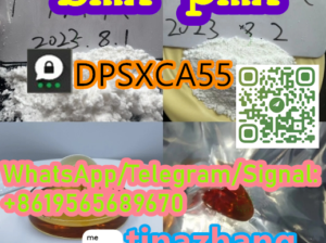 BMK/Pmk Oil Chemical Material BMK/Pmk Oil/Powder i