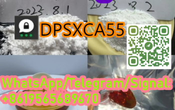 BMK/Pmk Oil Chemical Material BMK/Pmk Oil/Powder i