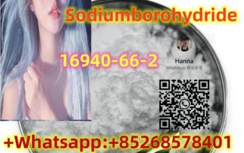 quality assurance 16940-66-2Sodiumborohydride