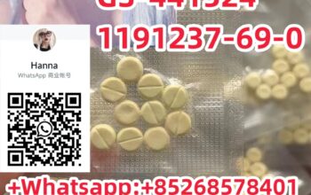 safe delivery GS-441524 1191237-69-0