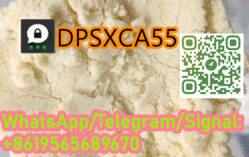 Raw Materials 5cl-adba 2709672-58-0 Raw Materials