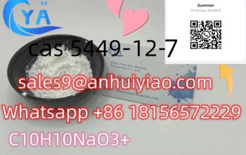 CAS 5449-12-7/25547-51-7 BMK Powder