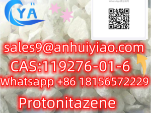cas:119276-01-6 Protonitazene (hydrochloride)