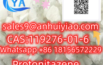 cas:119276-01-6 Protonitazene (hydrochloride)