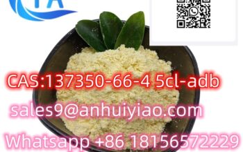 CAS137350-66-4 5cl-adb