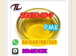 28578-16-7 PMK hot selling