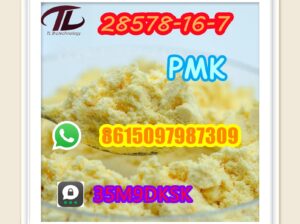 28578-16-7 PMK hot selling