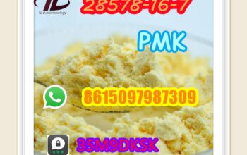 28578-16-7 PMK hot selling