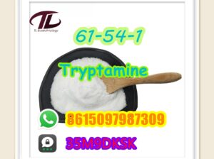 61-54-1 Tryptamine hot selling