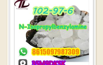 102-97-6 N-Isopropylbenzylamine hot selling