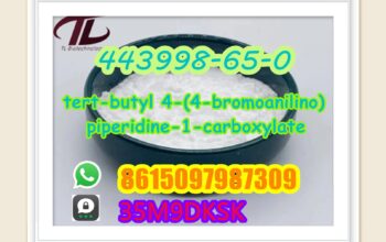 443998-65-0 tert-butyl 4-(4-bromoanilino)piperidin