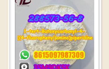 288573-56-8 1-tert-Butoxycarbonyl-4-[(4-fluorophen