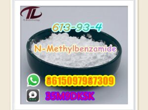 613-93-4 N-Methylbenzamide hot selling